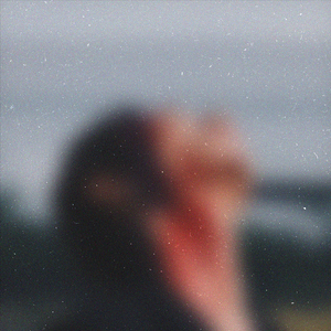 本末集合派智捷元港中小微出海生态
