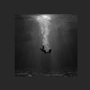 本末集合派智捷元港中小微出海生态
