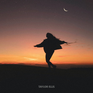 本末集合派智捷元港中小微出海生态
