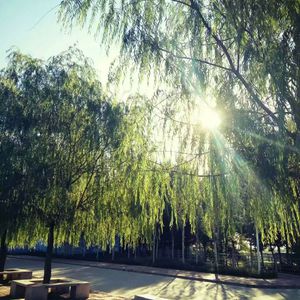 本末集合派智捷元港中小微出海生态
